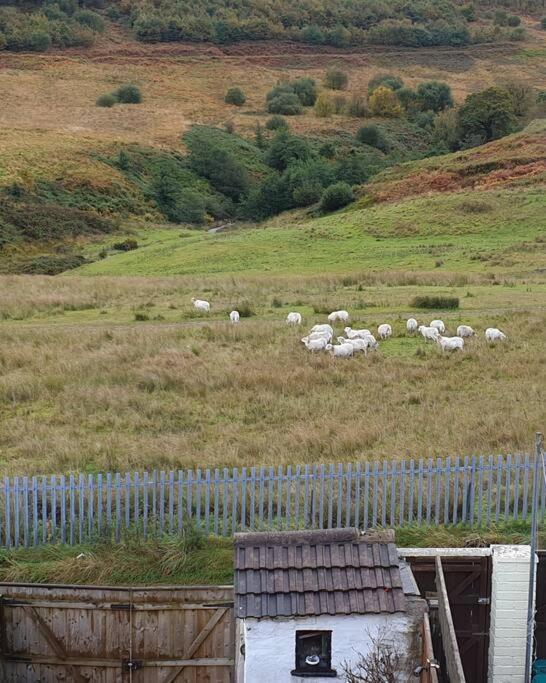 Welsh Miners Cottage Four Bedroom House Treherbert Zewnętrze zdjęcie